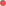 포인트